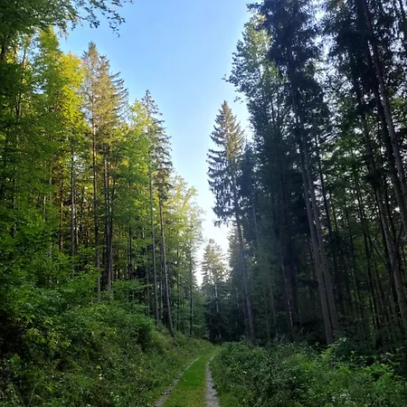 Διαμέρισμα Nicole