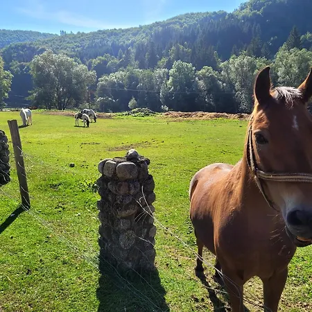 Διαμέρισμα Nicole